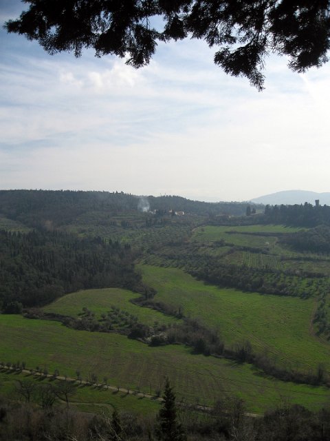 Fiesole - Parco di Montececeri-28.JPG